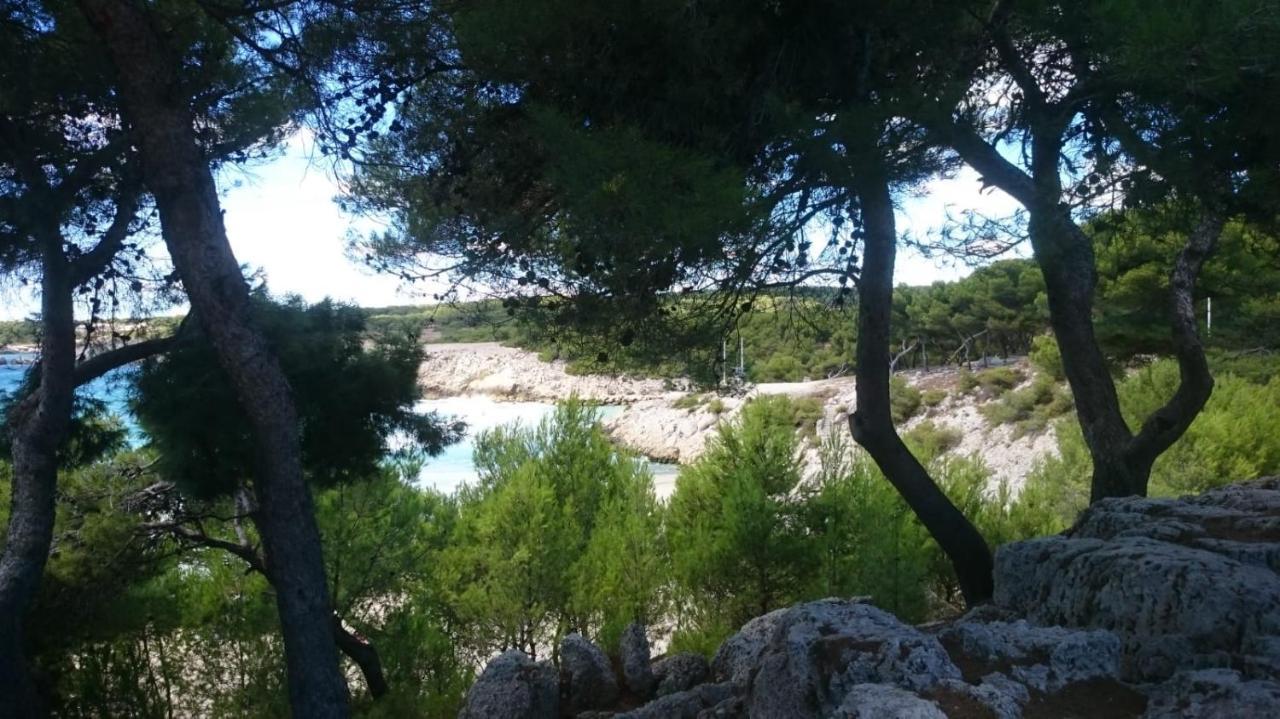Appartement vue mer le chant des cigales Sausset-les-Pins Extérieur photo